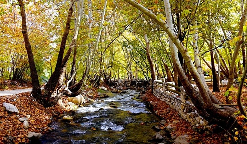 Antalya'da renklerin sonbahar dansı